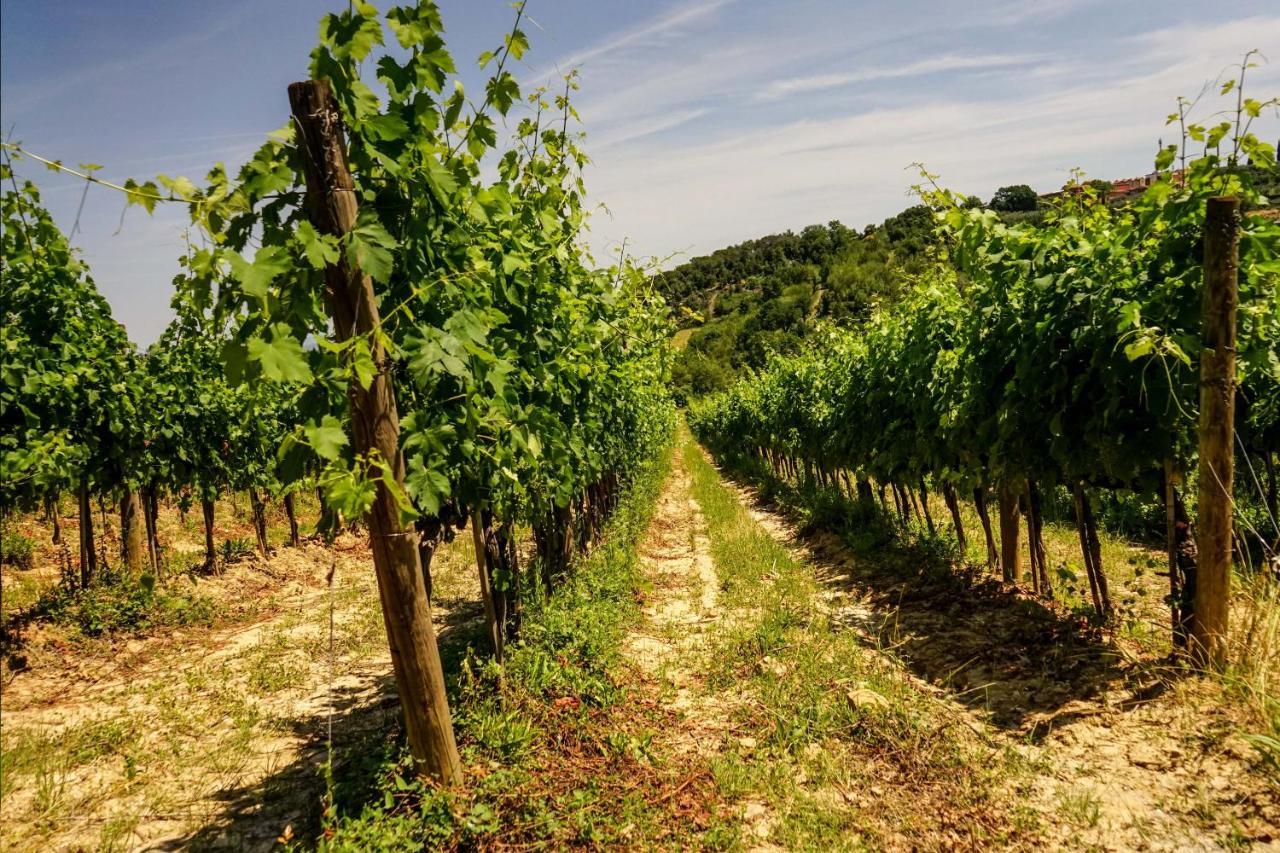 Tenuta Sant'Ilario Гамбаси Терме Екстериор снимка